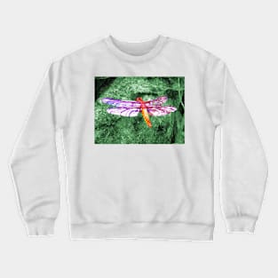 Dragonfly Crewneck Sweatshirt